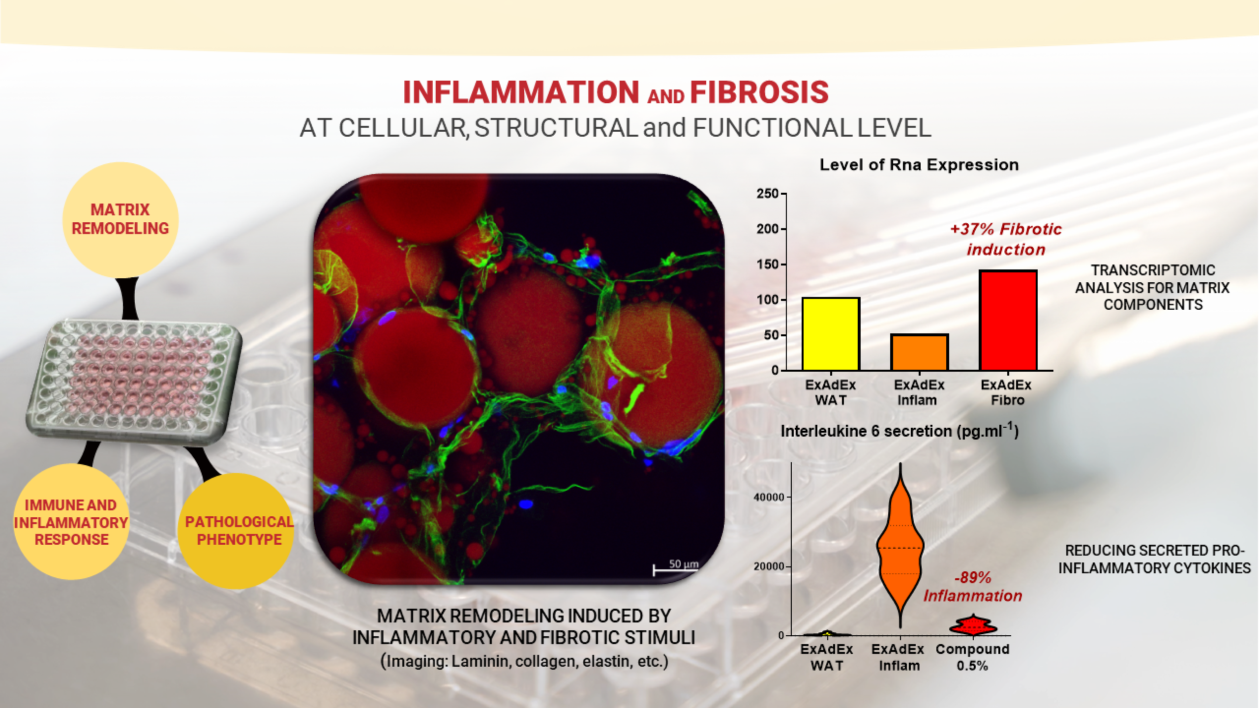 inflammation-fibrosis-exadex
