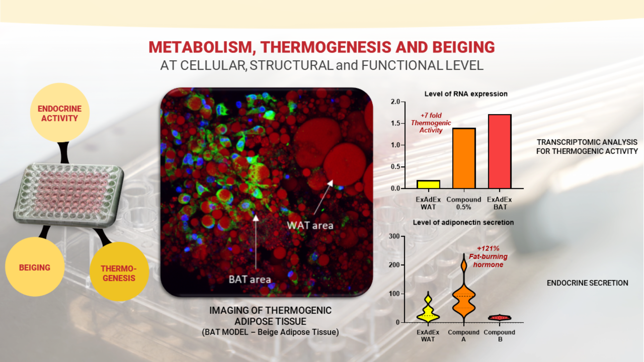metabolism, thermogenesis and beiging- exadex