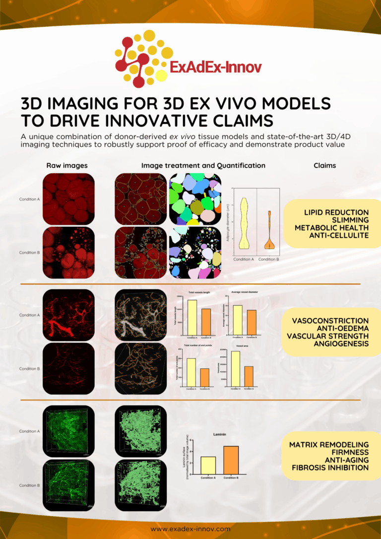 3D Imaging