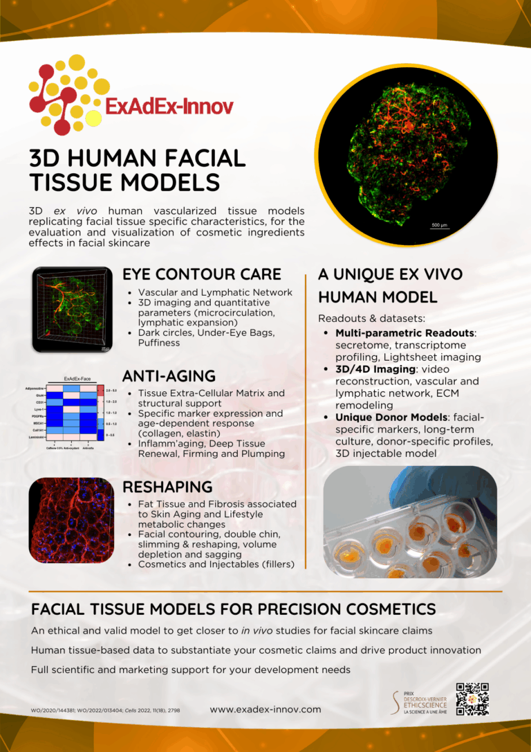 Facial Models
