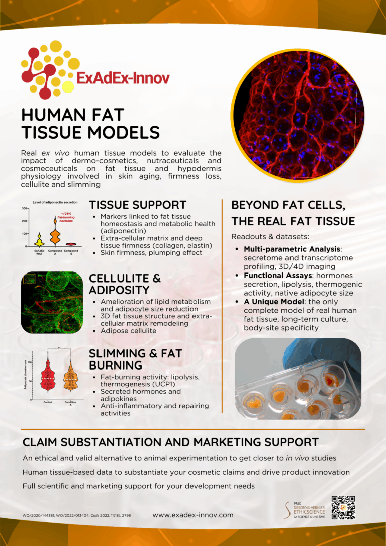Fat Burning and Slimming