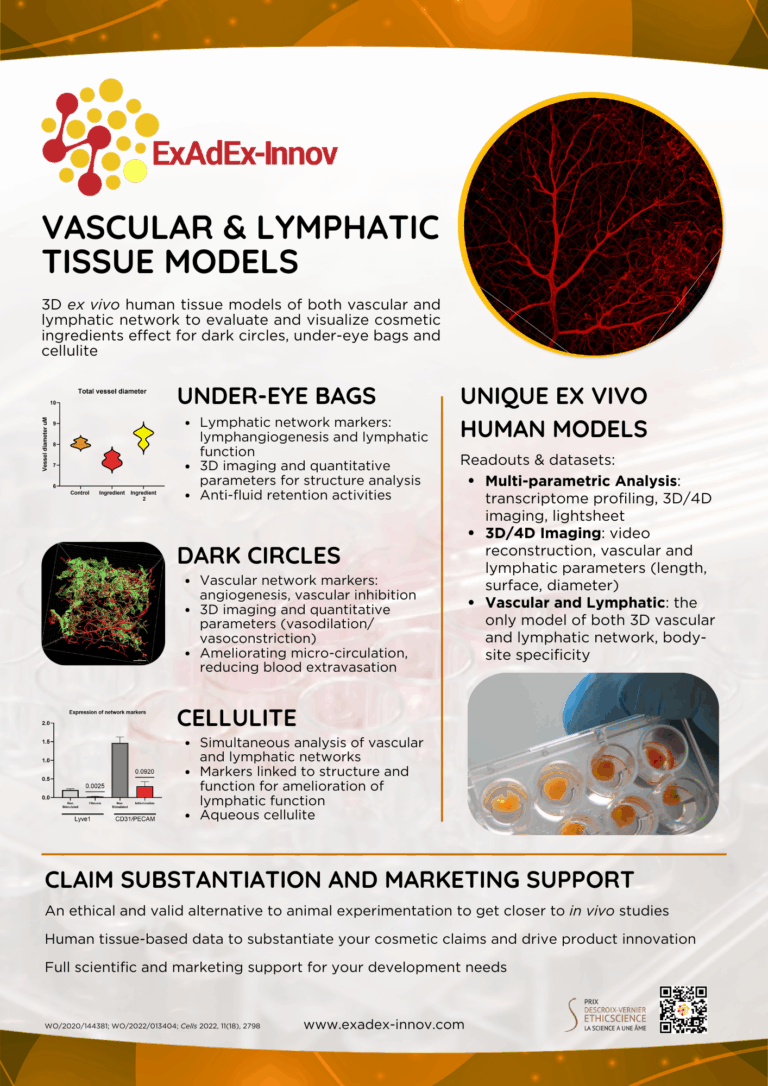 Vascular and Lymphatic